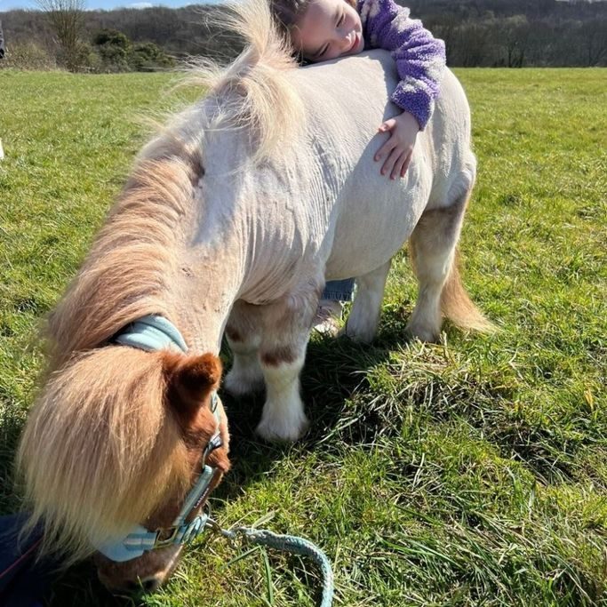 Shetland therapy pony receiving a hug during an outdoor session in Kent