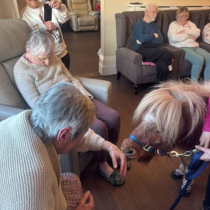 therapy-pony-visit-care-home-kent.jpg